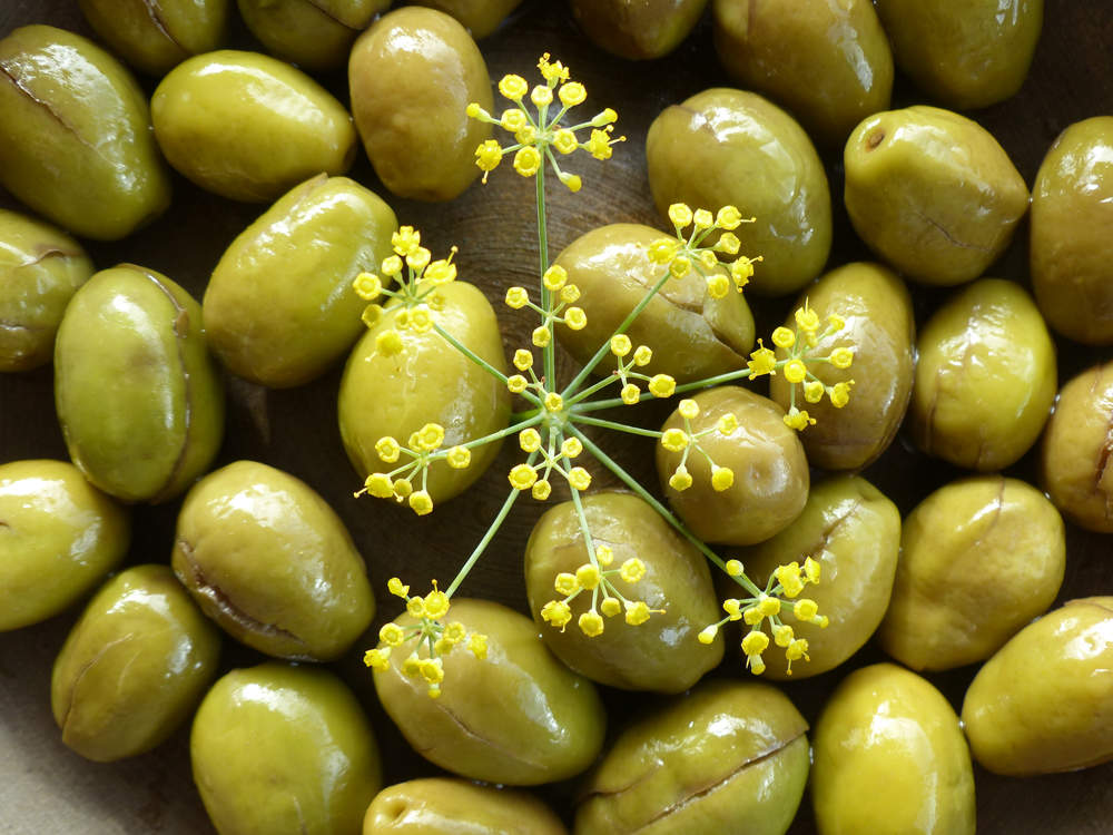 Olives cassées : les nombreux bienfaits pour votre santé