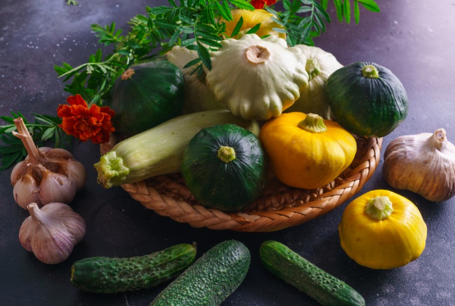 Quels sont les bienfaits des légumes anciens?